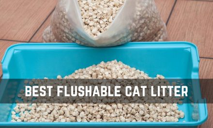 The Best Flushable Cat Litter for Easy Cleaning
