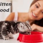 The Best Kitten Wet Food – Kitty Wants a Snack